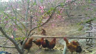 320x320_ba2b8f2da21888799bfc8538ac2deb42.jpg