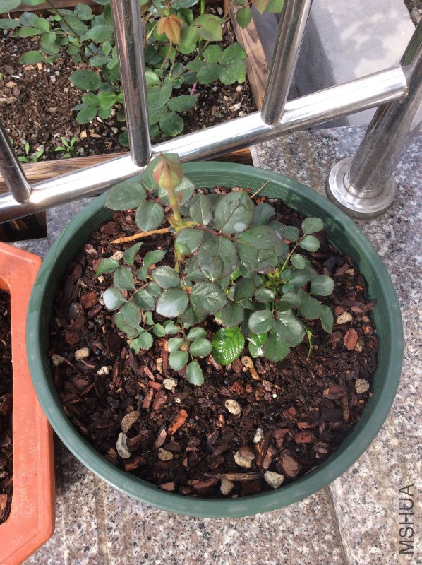 ��������������5�� ��������һ�ţ�Ҳ�л�����