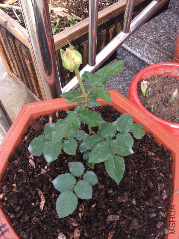 ��㣬�����ܴ�2����ֱ���е�