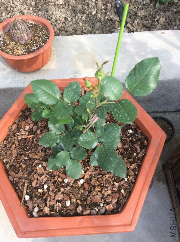 ���������Ҳ����ܽɶ��