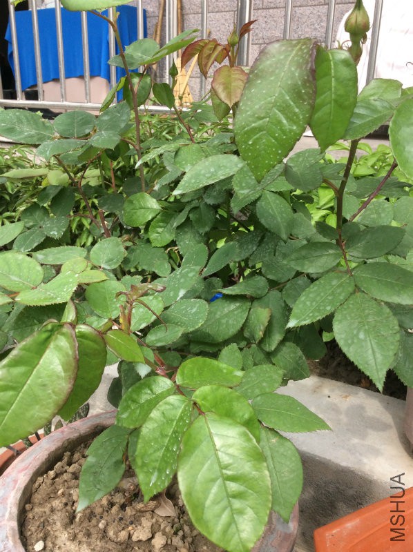 �����ֵĹ����¼�