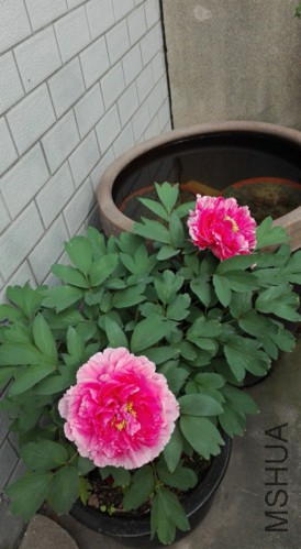 ɺ��̨-2-20160410.jpg