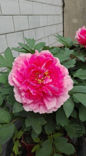 ɺ��̨-4-20160410.jpg