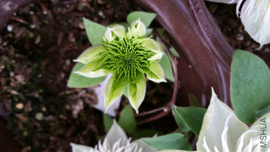 20160401_072349.jpg