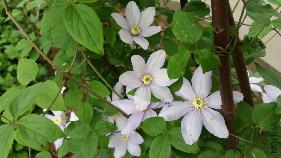 20160407_073641.jpg
