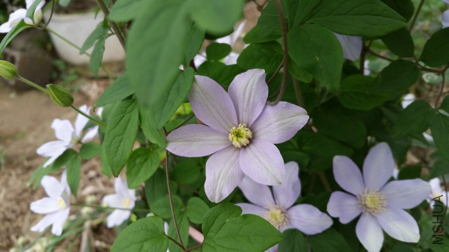 20160408_174035.jpg