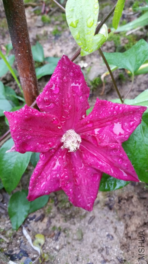 20160410_074134.jpg
