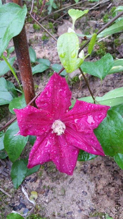 20160410_074143.jpg
