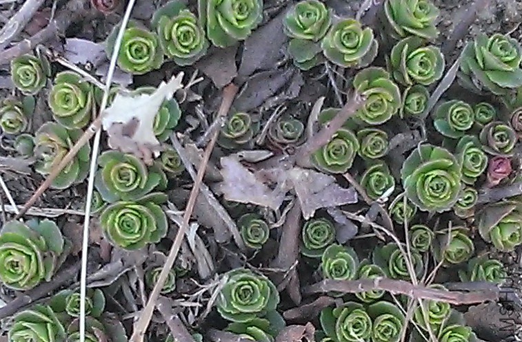 WP_20160409_001.jpg