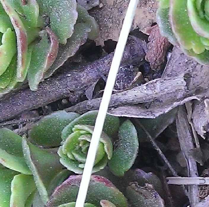 WP_20160409_006.jpg