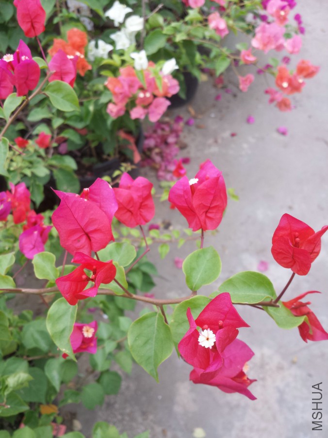 20141012_090240.jpg