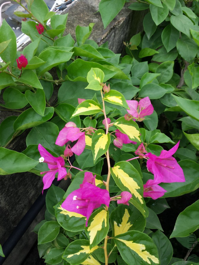 20140817_105253.jpg