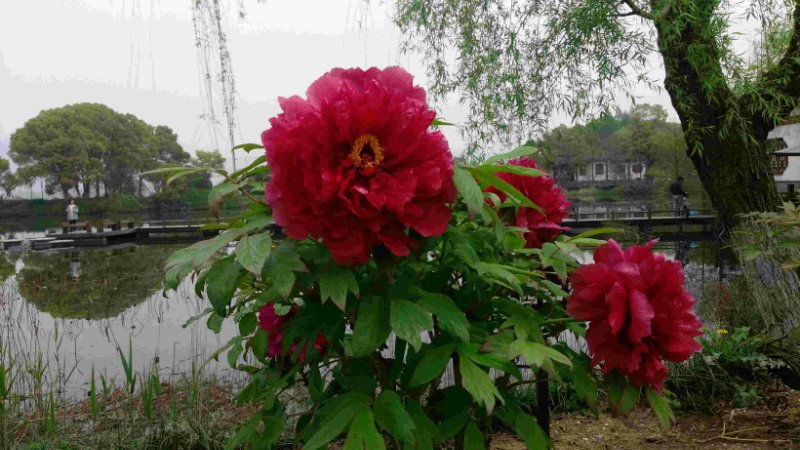 IMAG0232_�?��.jpg