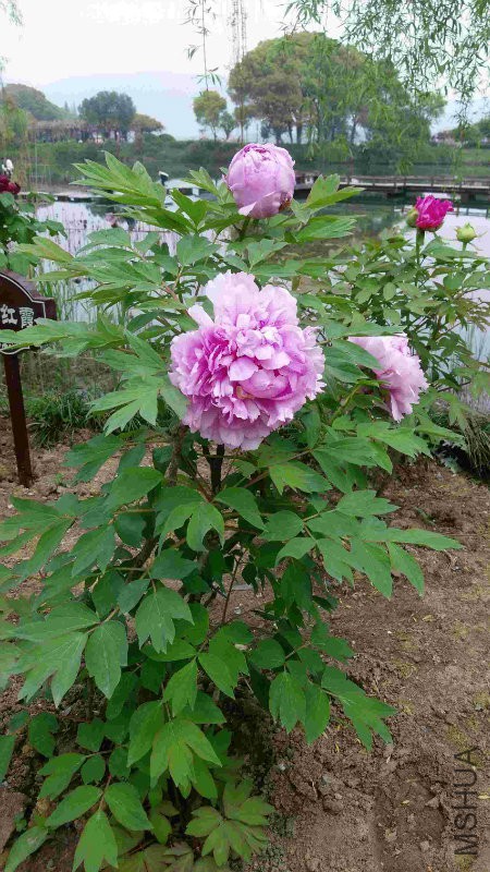 IMAG0231_�?��.jpg