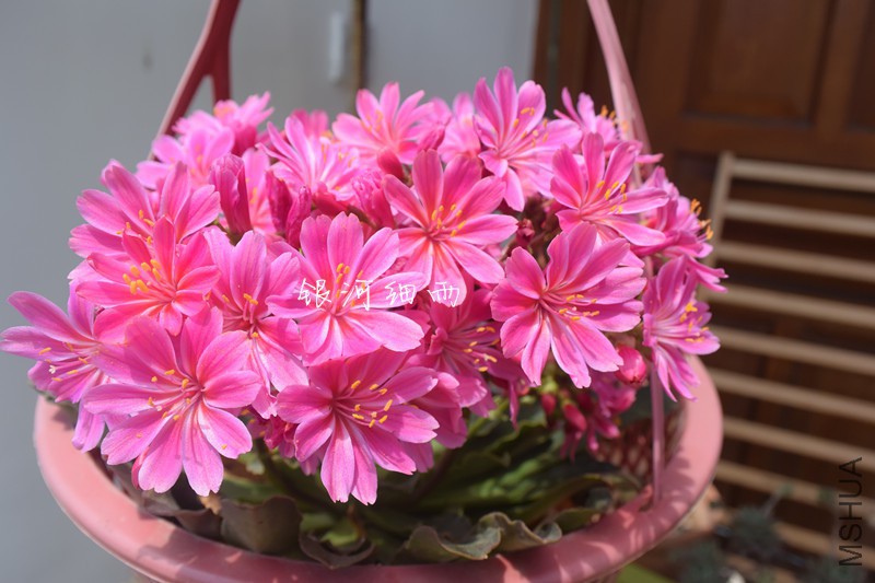 DSC_0902_����.jpg