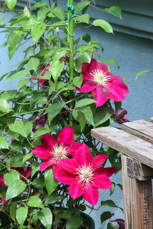 psb (13)_����.jpg