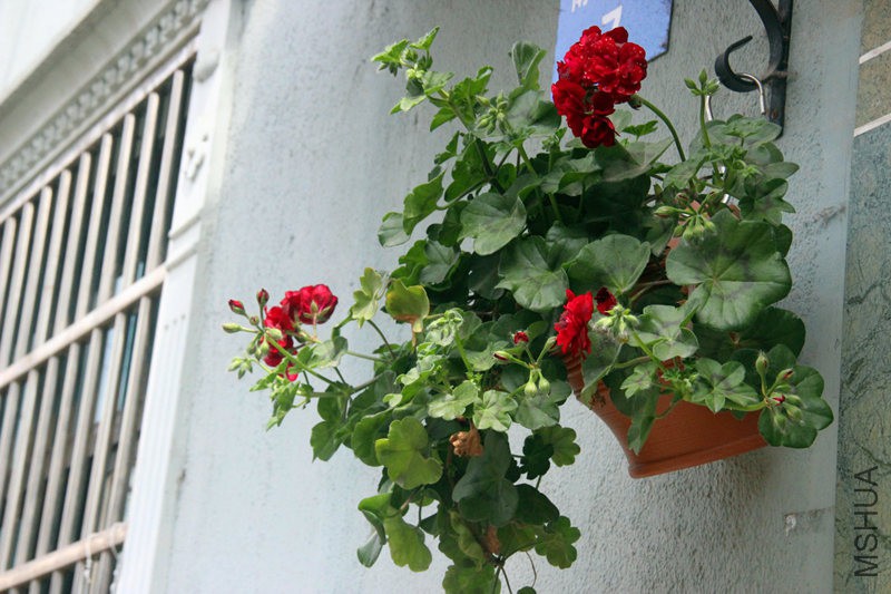 psb (15)_����.jpg