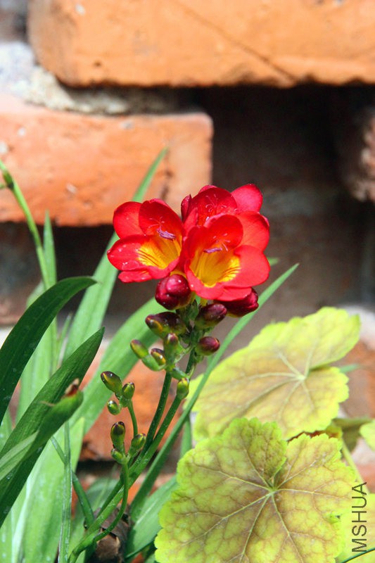 psb (16)_����.jpg