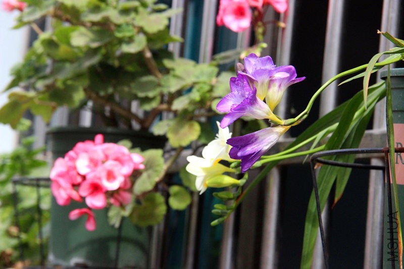 psb (18)_����.jpg