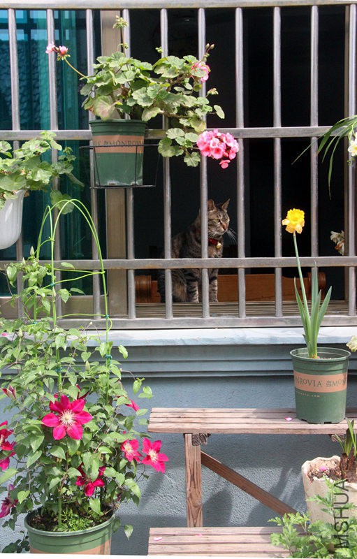 psb (23)_����.jpg