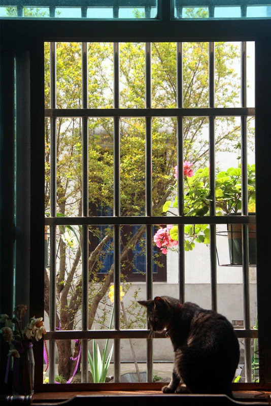 psb (22)_����.jpg