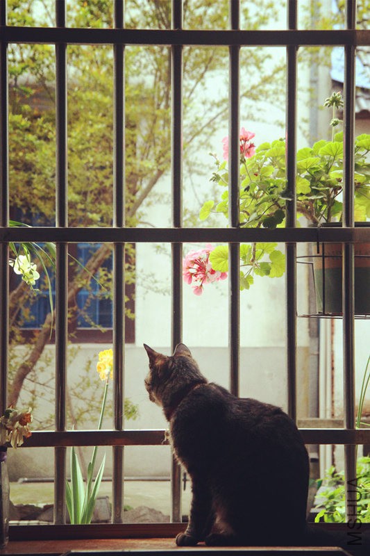 psb (20)_����.jpg