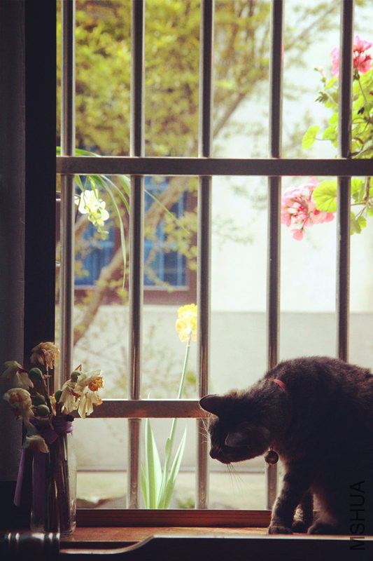 psb (21)_����.jpg