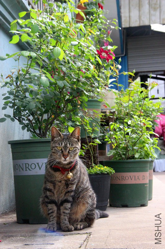 psb (24)_����.jpg