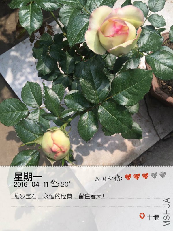 IMG_2157_�?��.jpg