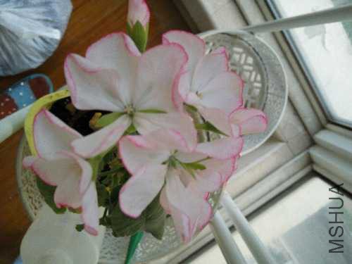 IMG_20160411_181839.jpg