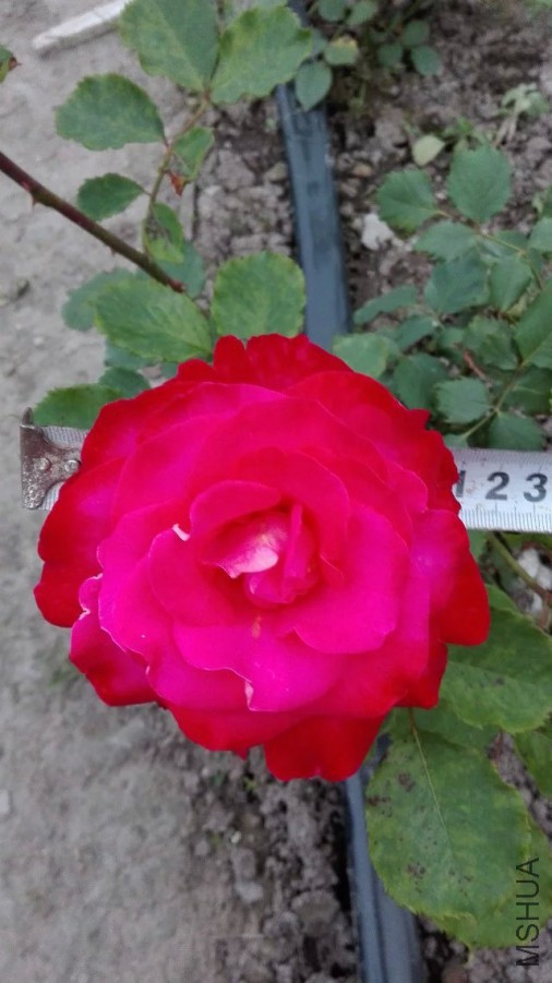 ���װ���2