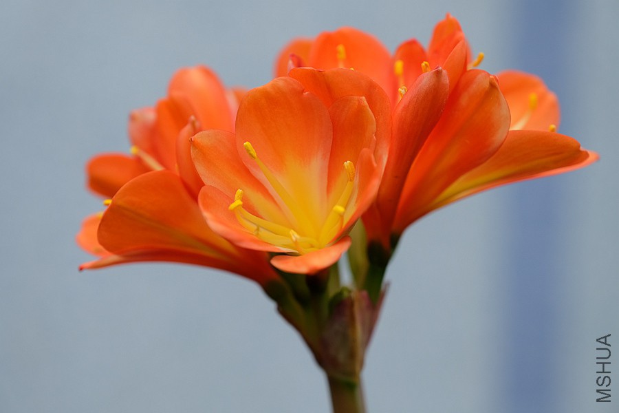 DSCF7094.JPG