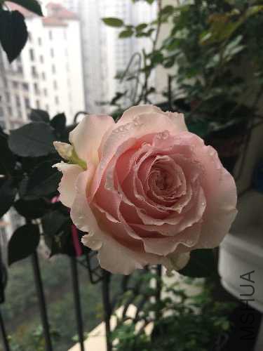 image.jpeg