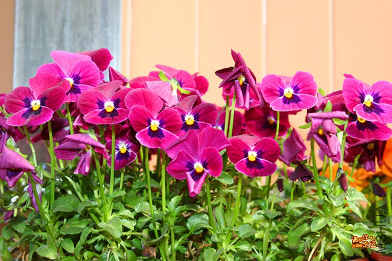 ��Ƭ 033_����.jpg