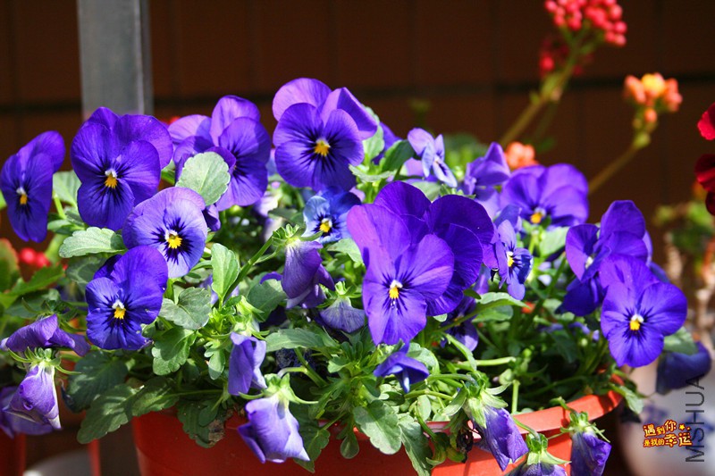 ��Ƭ 038_����.jpg