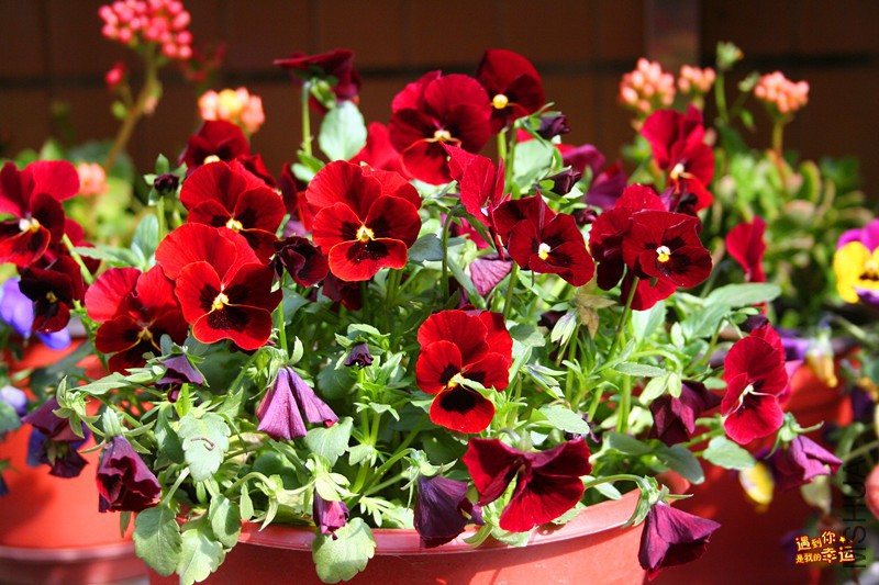 ��Ƭ 039_����.jpg