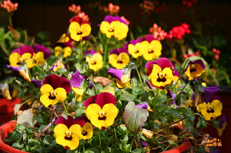 ��Ƭ 042_����.jpg