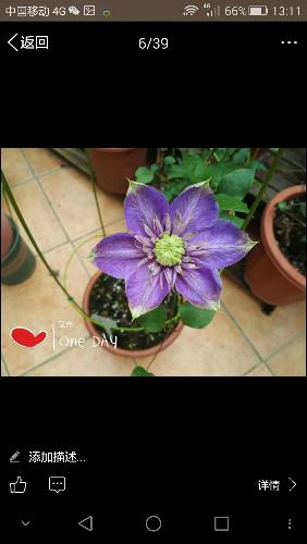 Screenshot_2016-04-12-13-11-58.jpeg