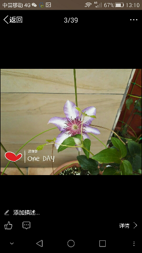 Screenshot_2016-04-12-13-10-30.jpeg