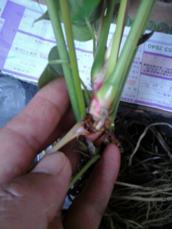 20160410_182322.jpg