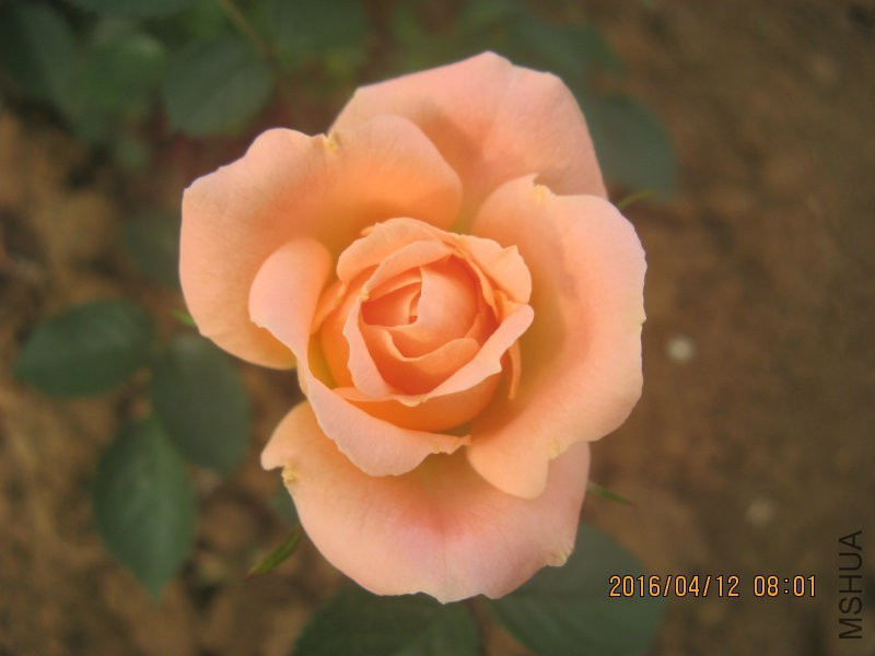 IMG_7329.JPG