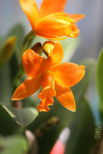 IMG_8197.JPG