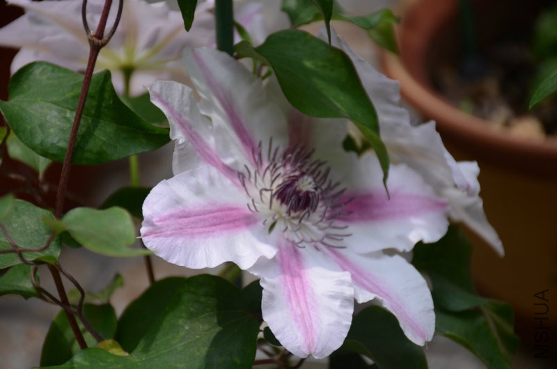DSC_3214.JPG