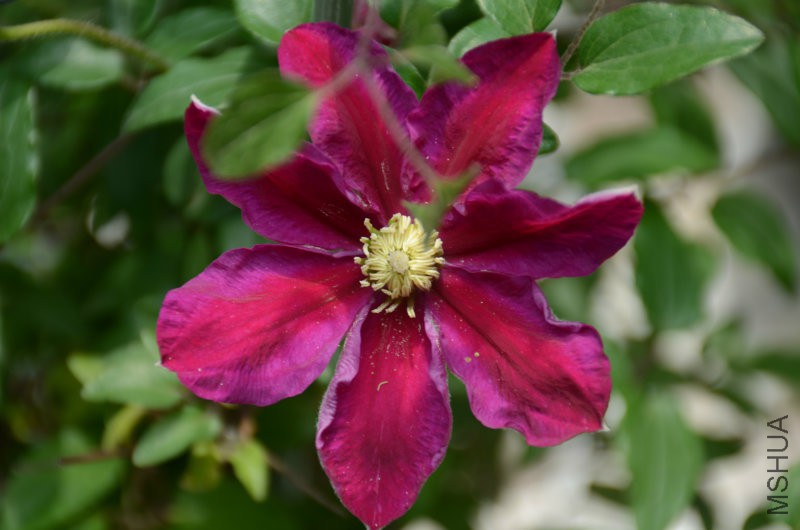 DSC_3225.JPG