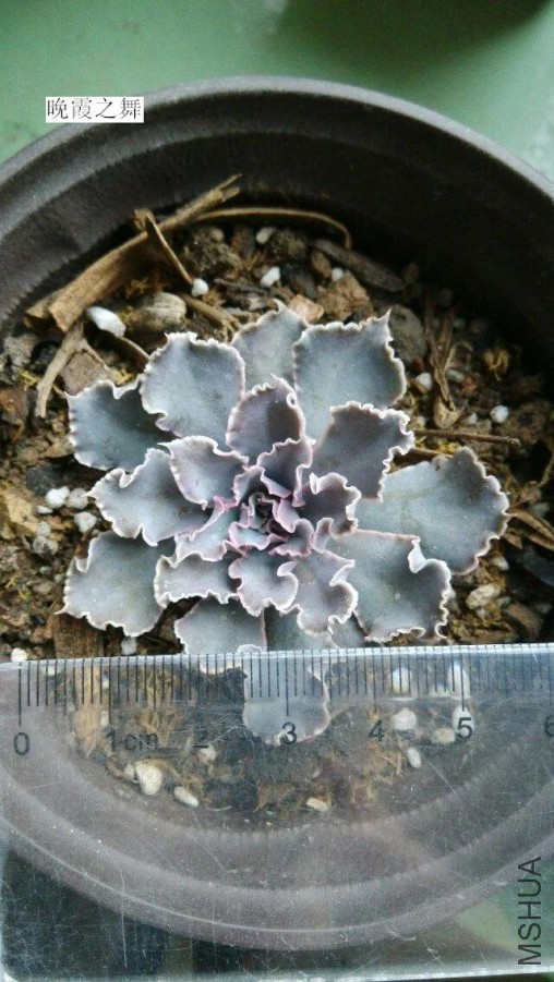 psb(0).jpg