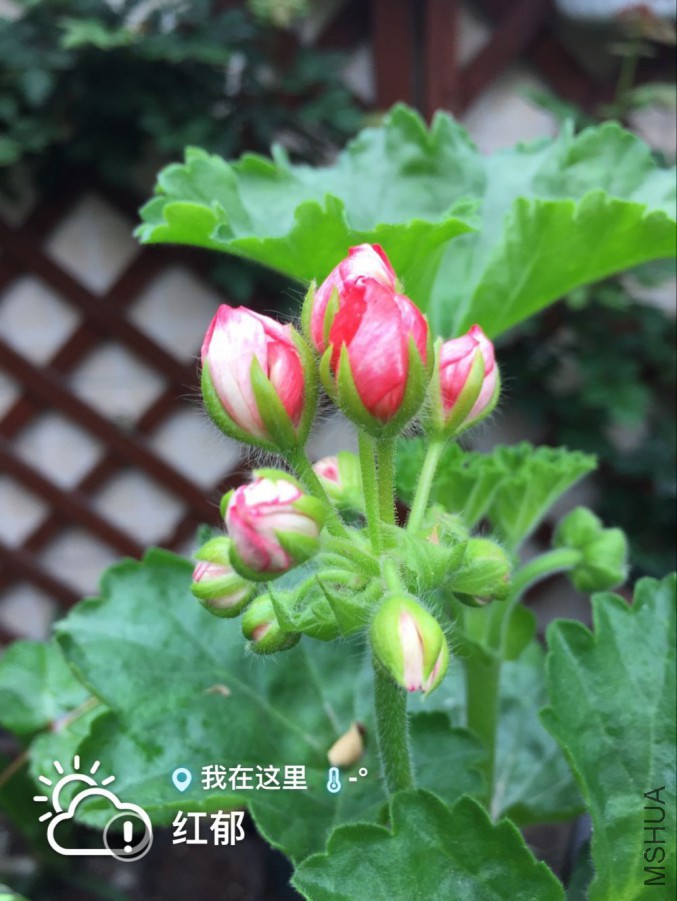 QQͼƬ20160413142635.jpg