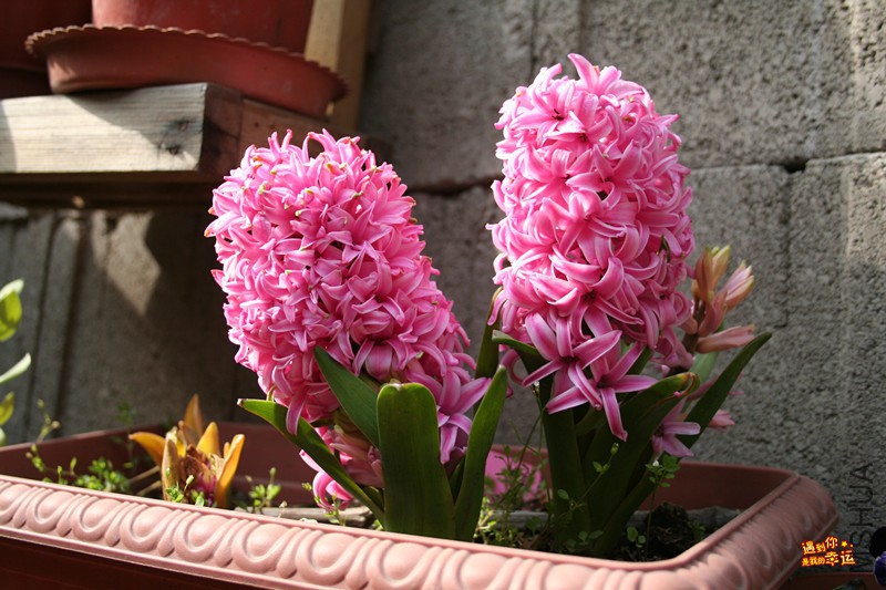 ��Ƭ 040_����.jpg