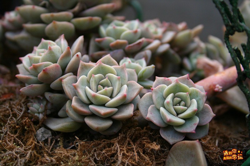 ��Ƭ 068_����.jpg