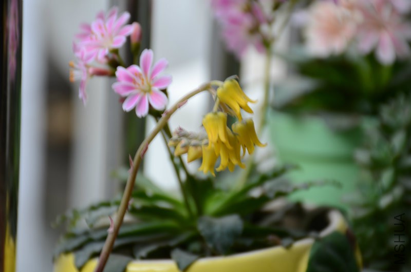DSC_3281.JPG
