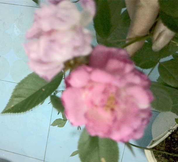 IMG_20160413_185125_HDR.jpg